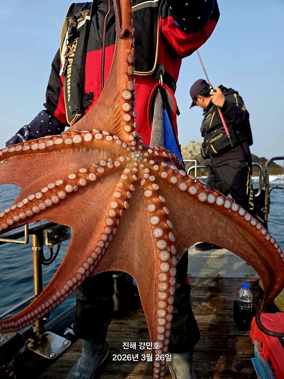 ����ڰ� �ø� �̹���