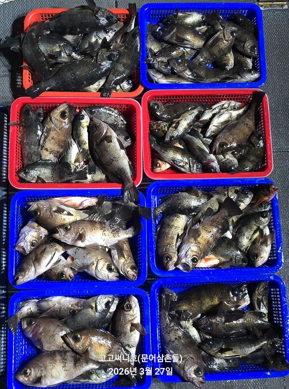 ����ڰ� �ø� �̹���