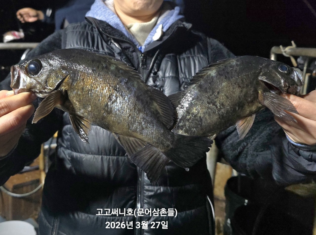 ����ڰ� �ø� �̹���