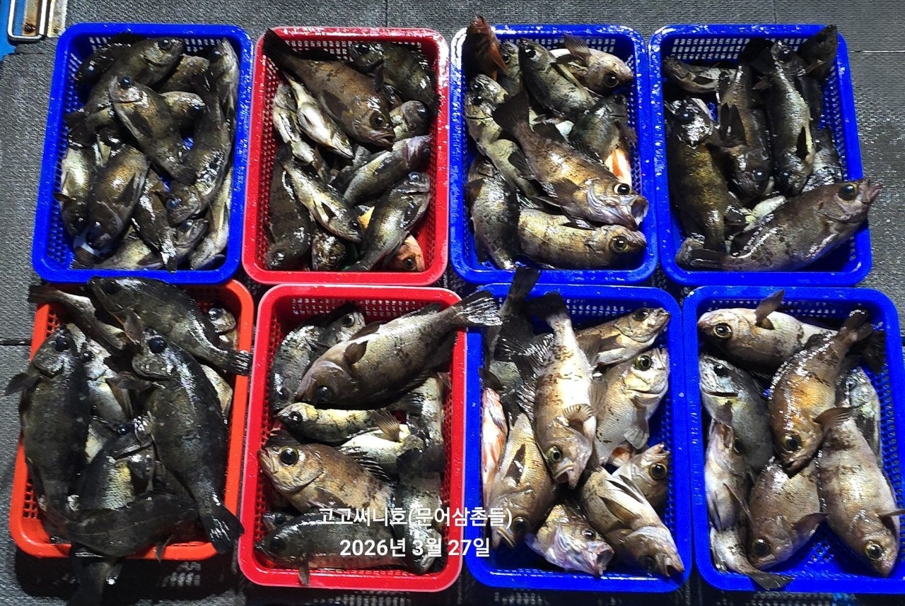 ����ڰ� �ø� �̹���