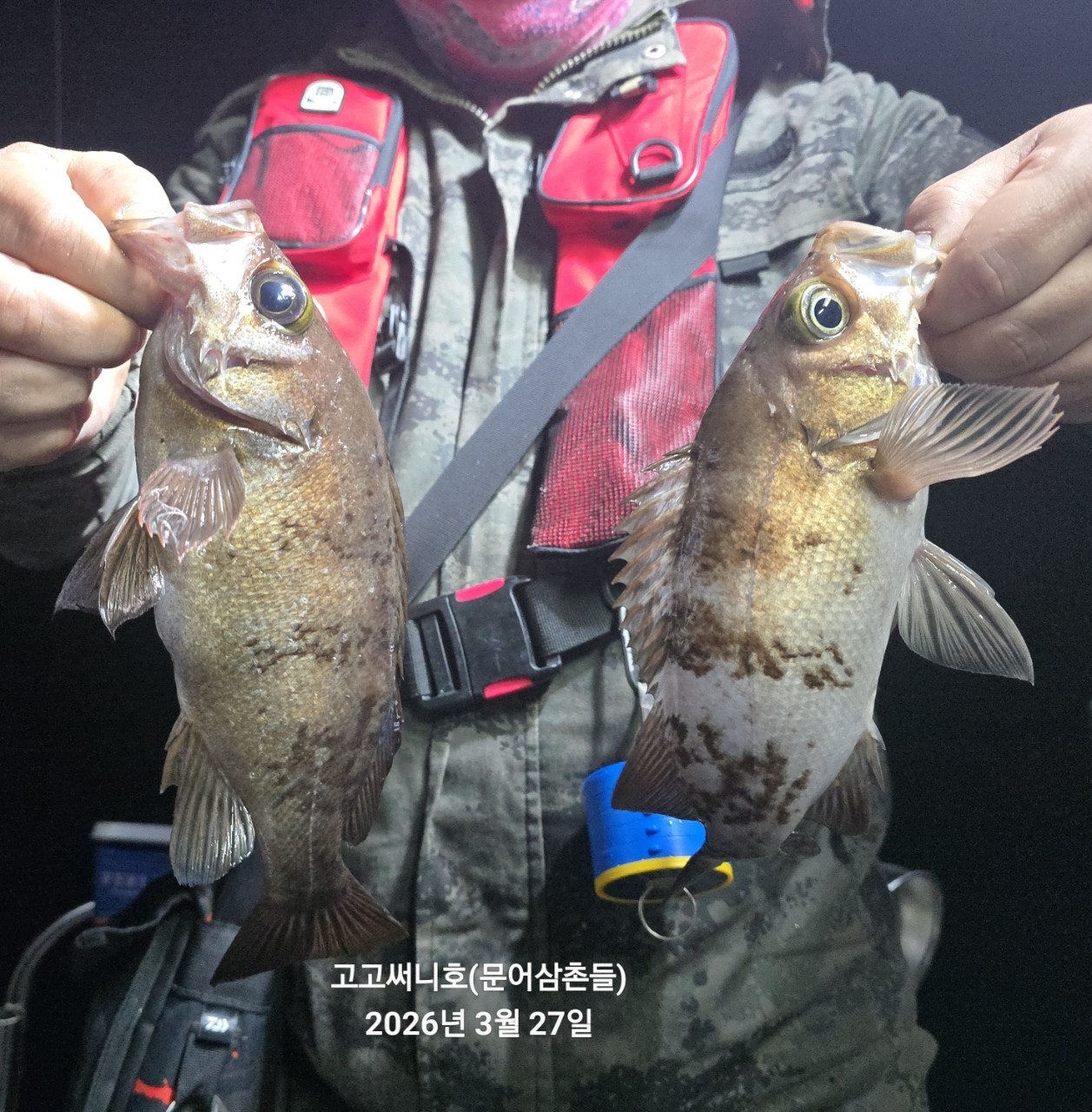 ����ڰ� �ø� �̹���