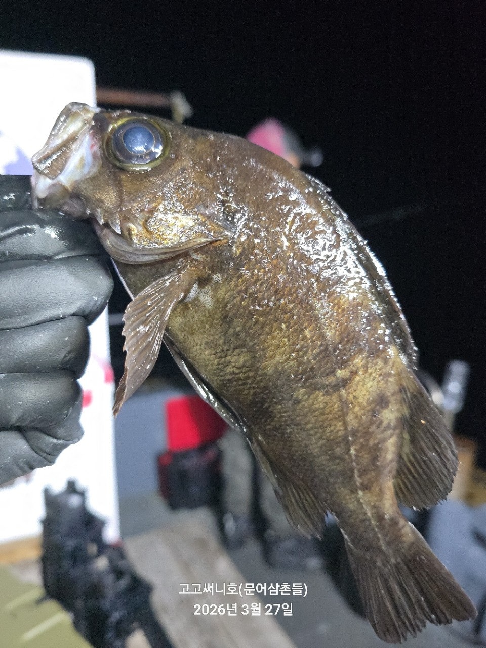 ����ڰ� �ø� �̹���