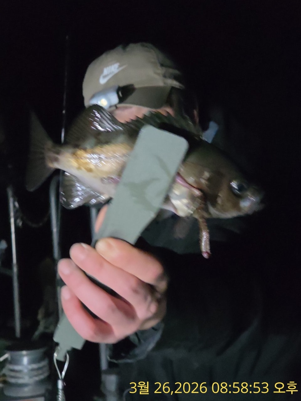 ����ڰ� �ø� �̹���