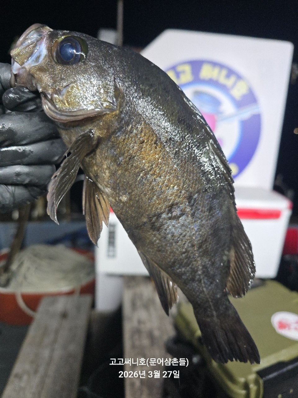 ����ڰ� �ø� �̹���