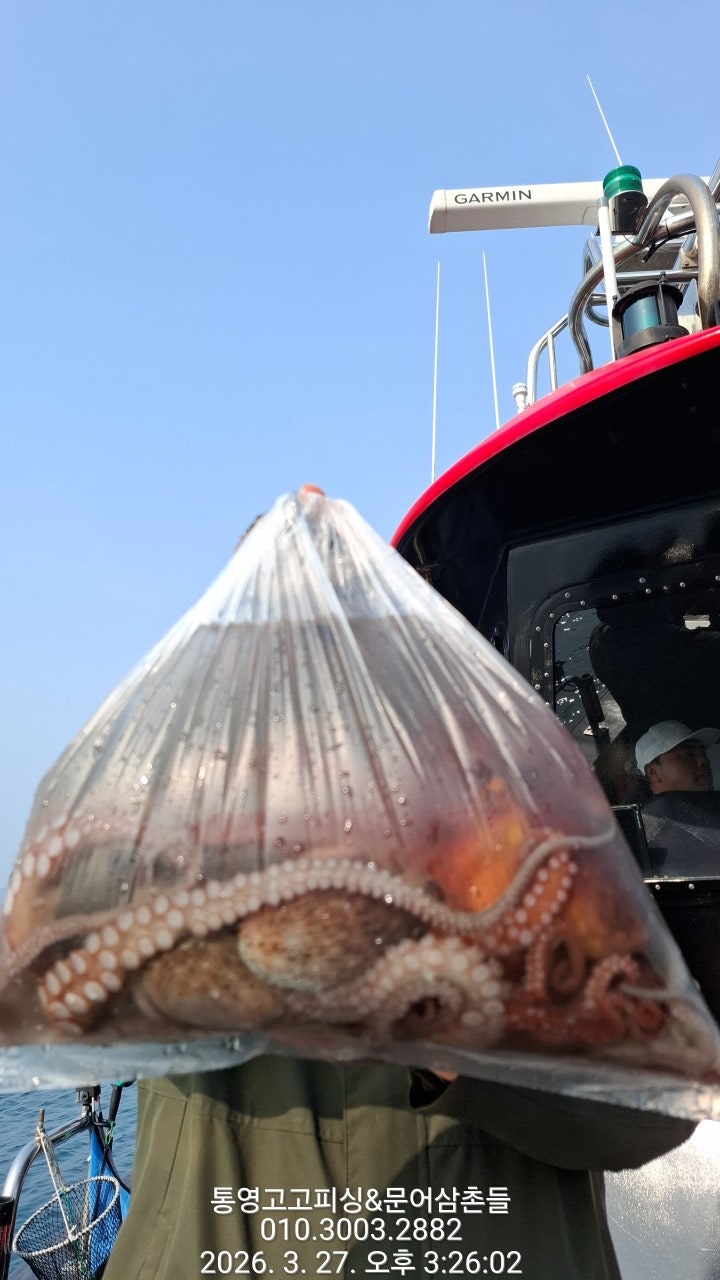 ����ڰ� �ø� �̹���