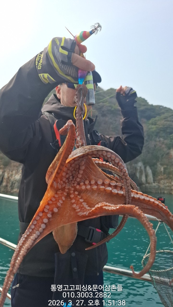 ����ڰ� �ø� �̹���