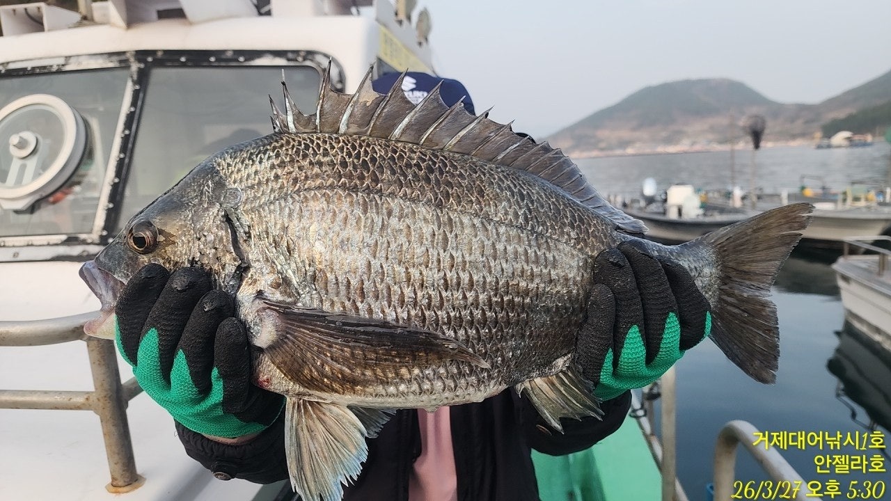 ����ڰ� �ø� �̹���