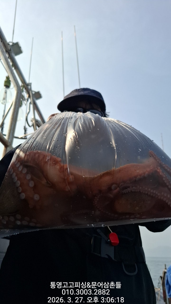 ����ڰ� �ø� �̹���