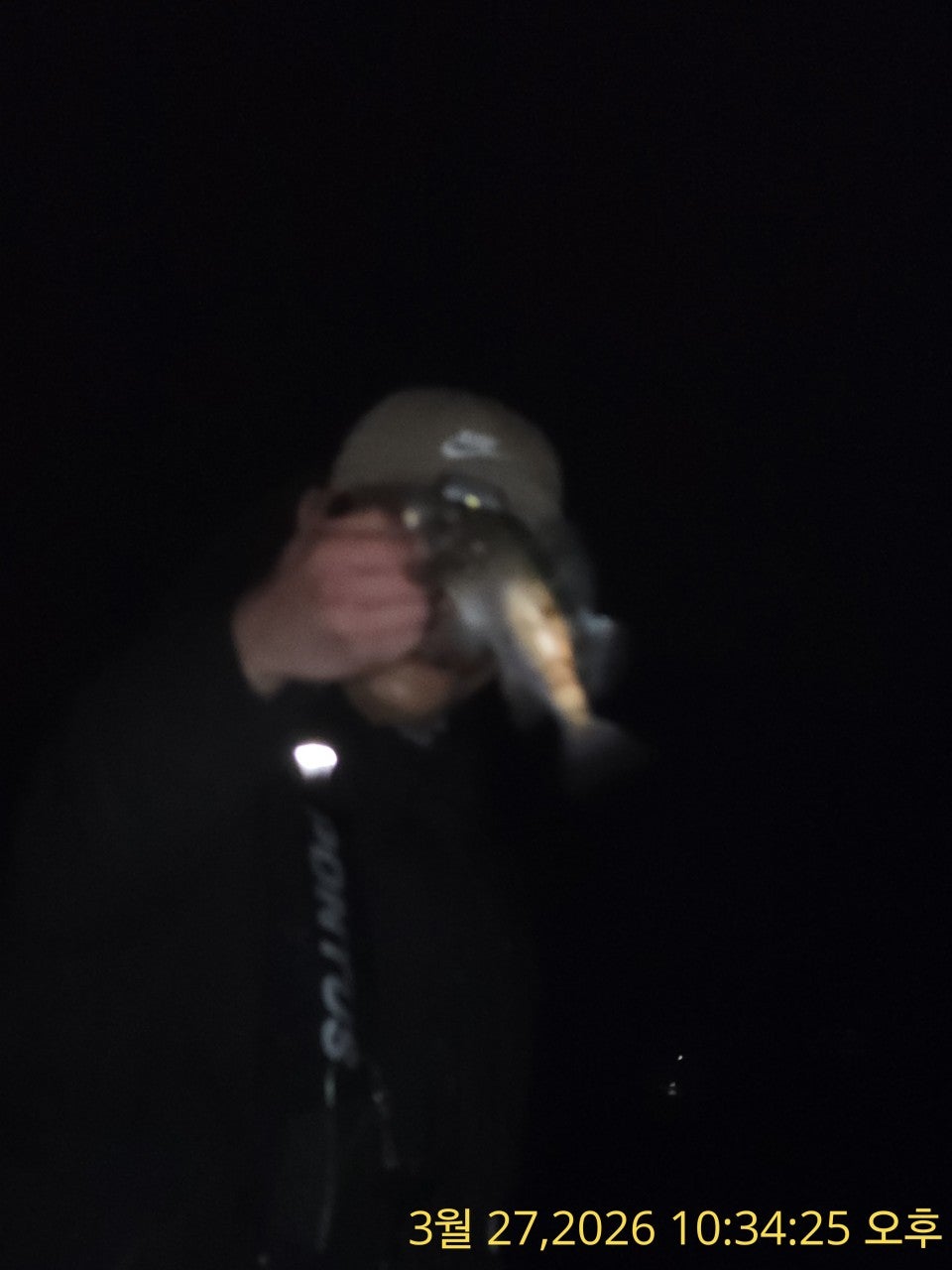 ����ڰ� �ø� �̹���