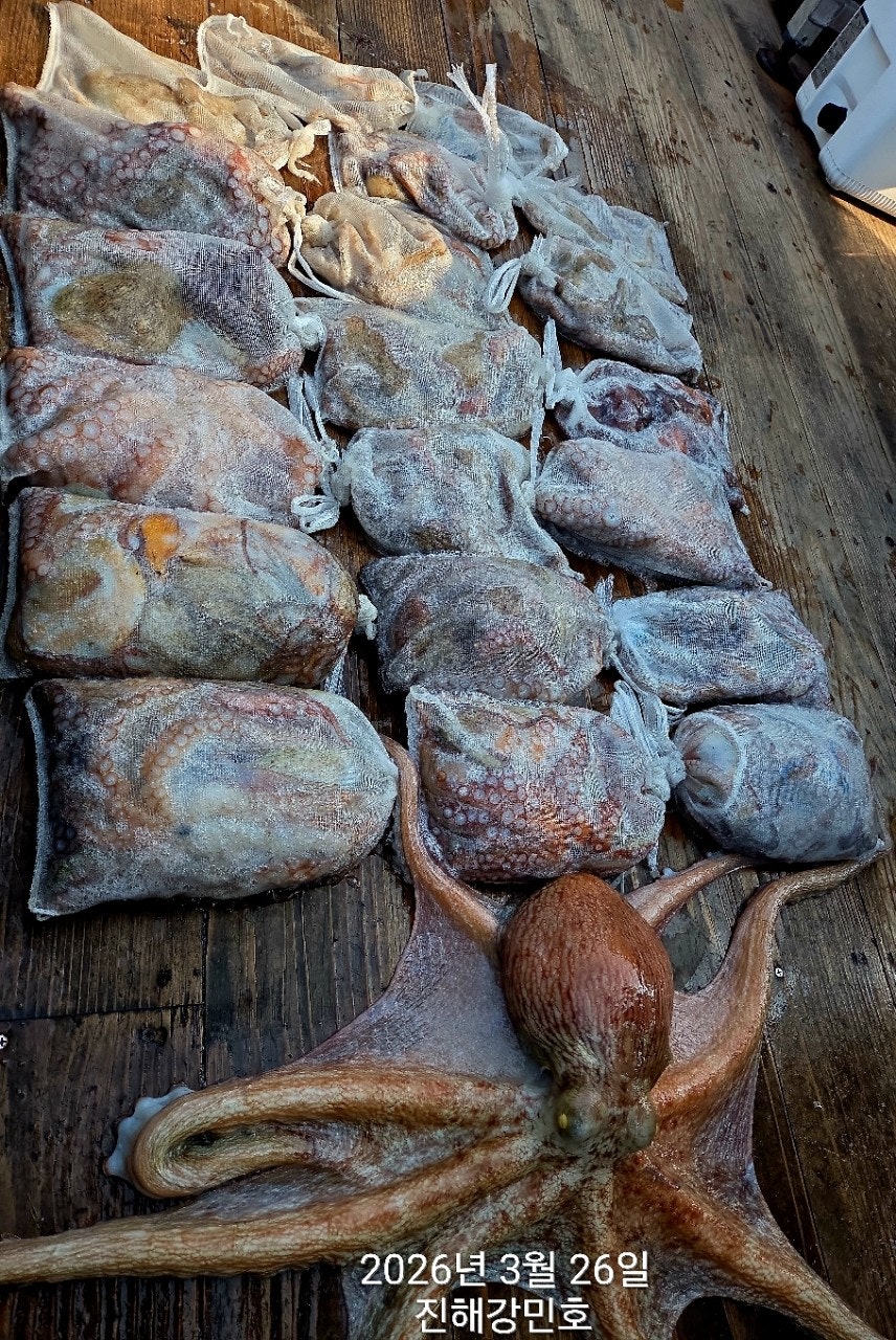 ����ڰ� �ø� �̹���