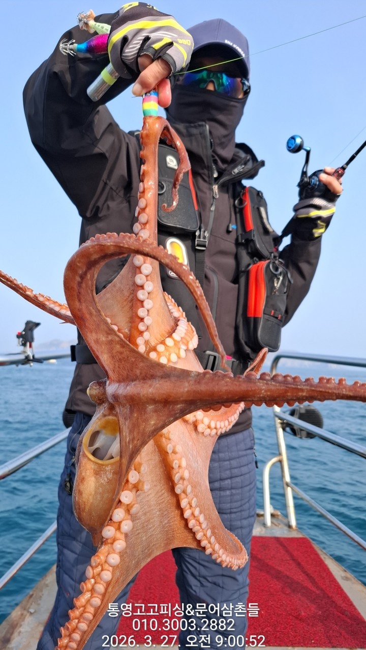 ����ڰ� �ø� �̹���