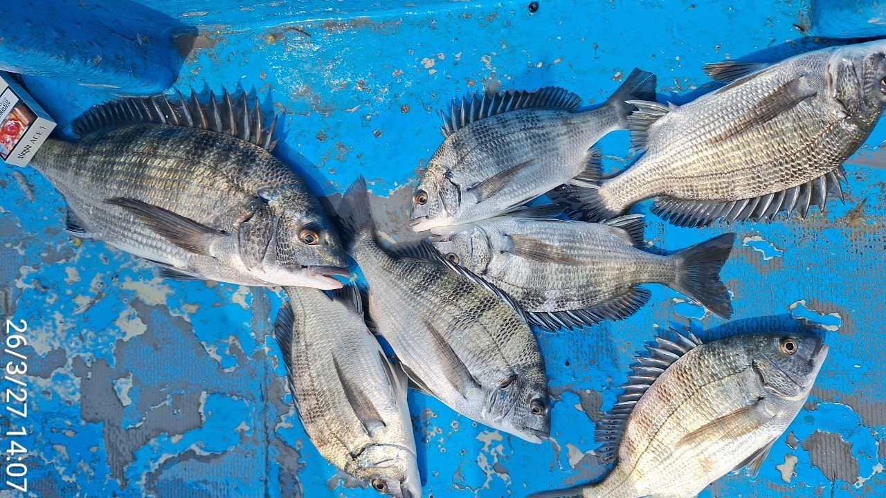 ����ڰ� �ø� �̹���