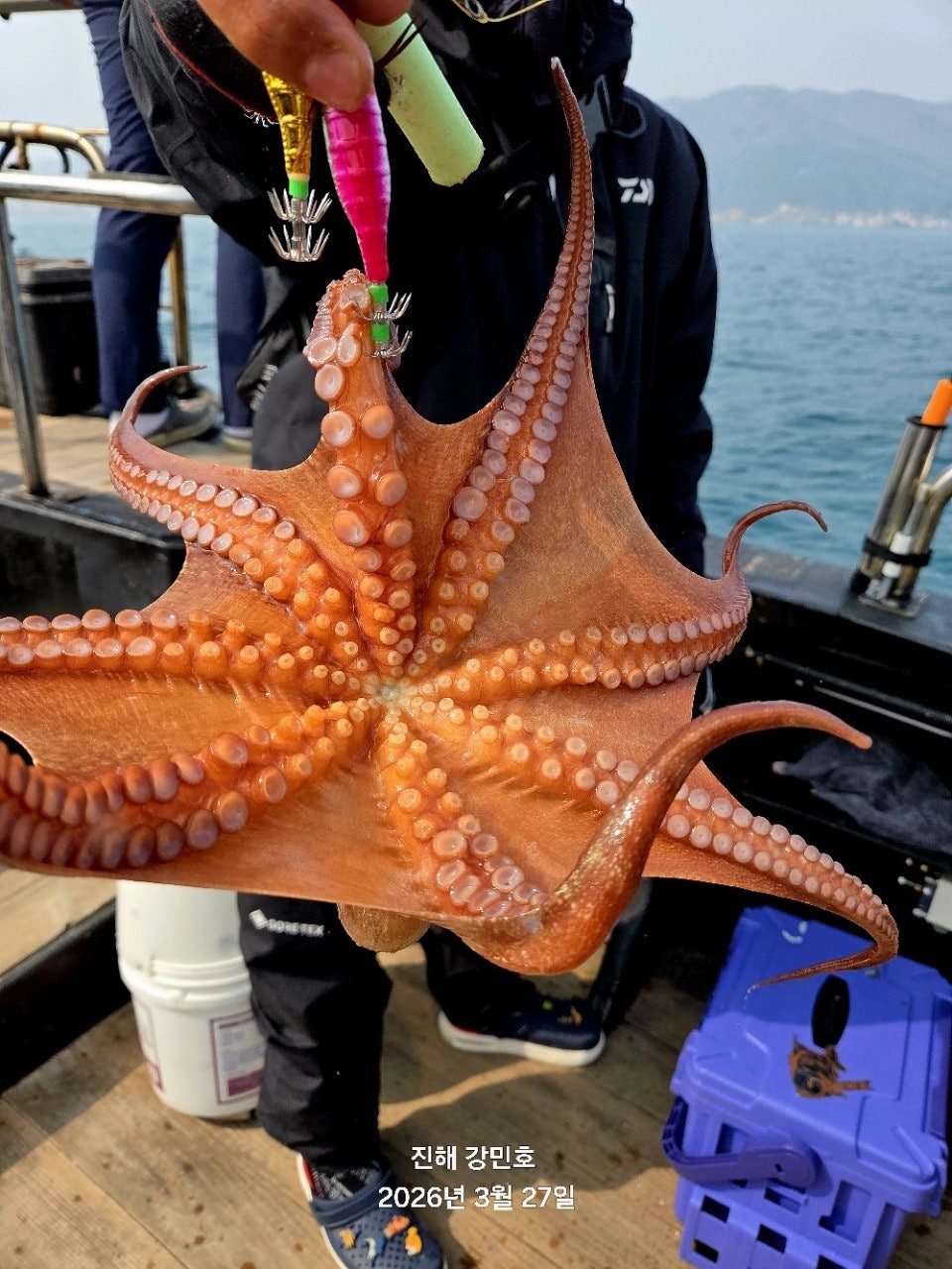 ����ڰ� �ø� �̹���