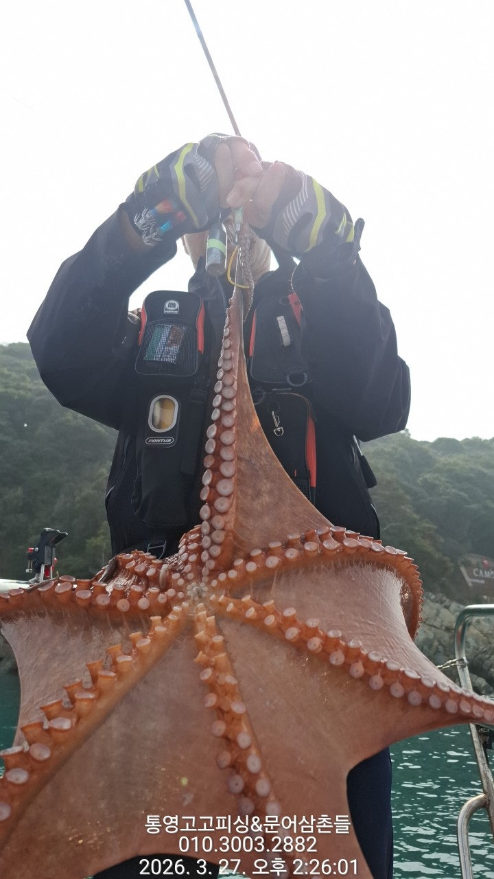 ����ڰ� �ø� �̹���