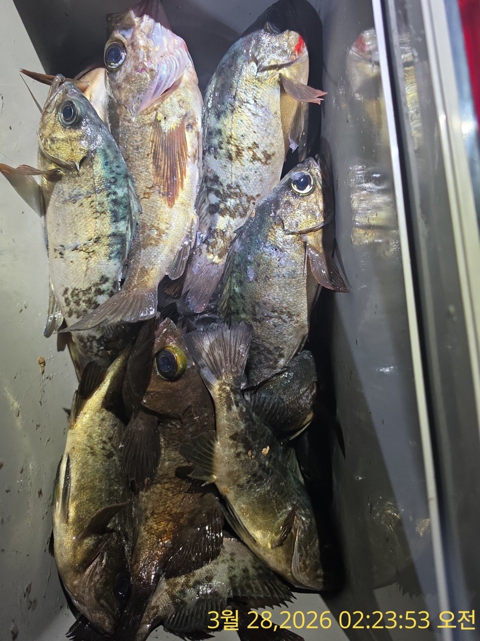 ����ڰ� �ø� �̹���