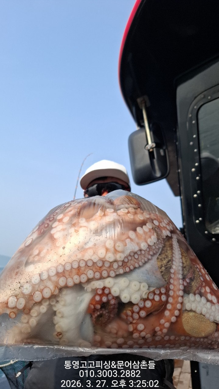 ����ڰ� �ø� �̹���