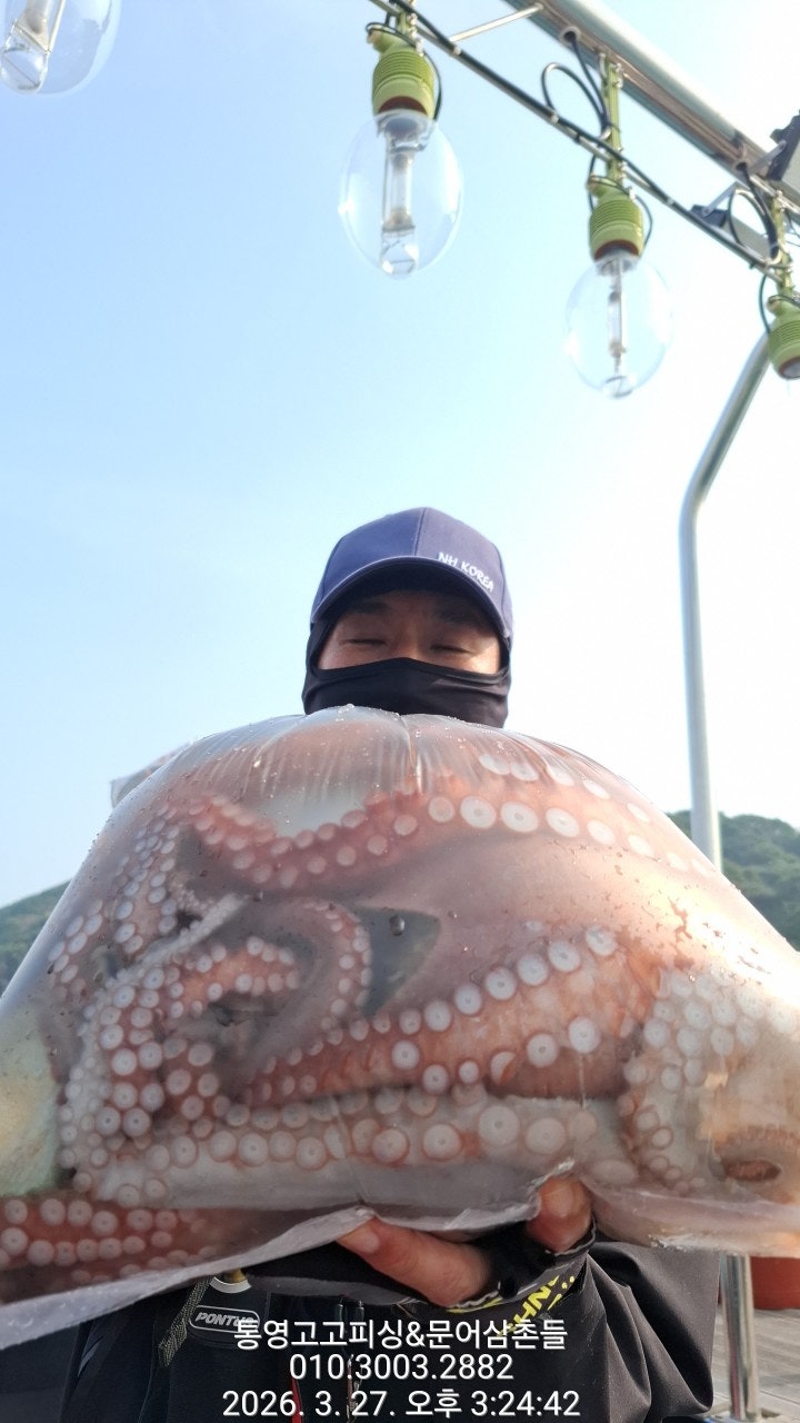 ����ڰ� �ø� �̹���