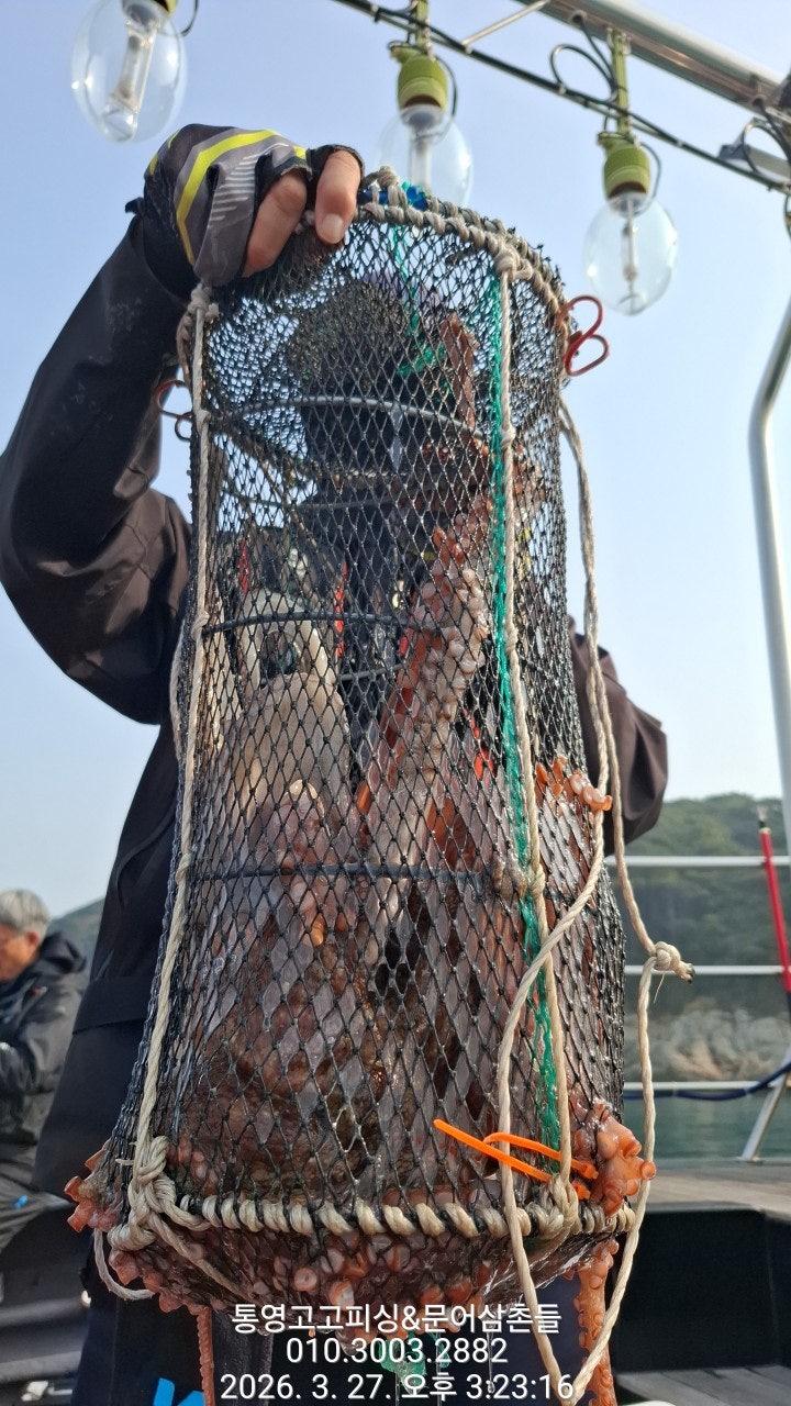 ����ڰ� �ø� �̹���