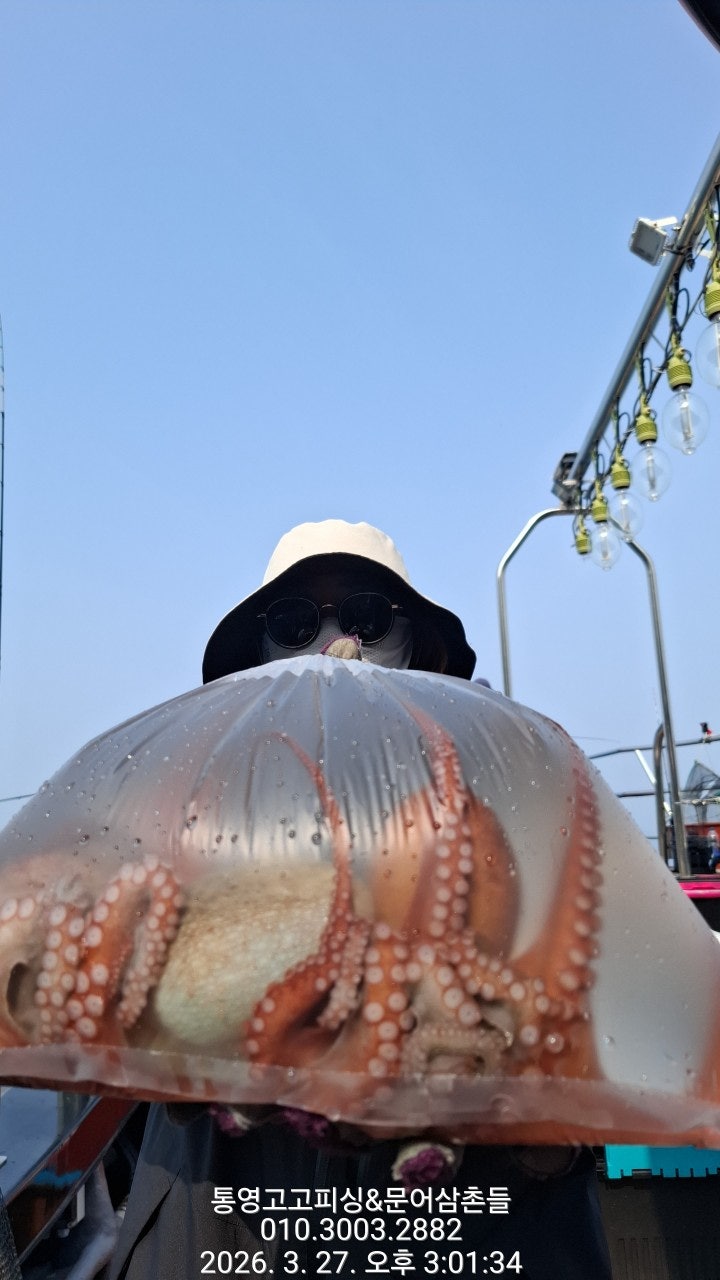 ����ڰ� �ø� �̹���