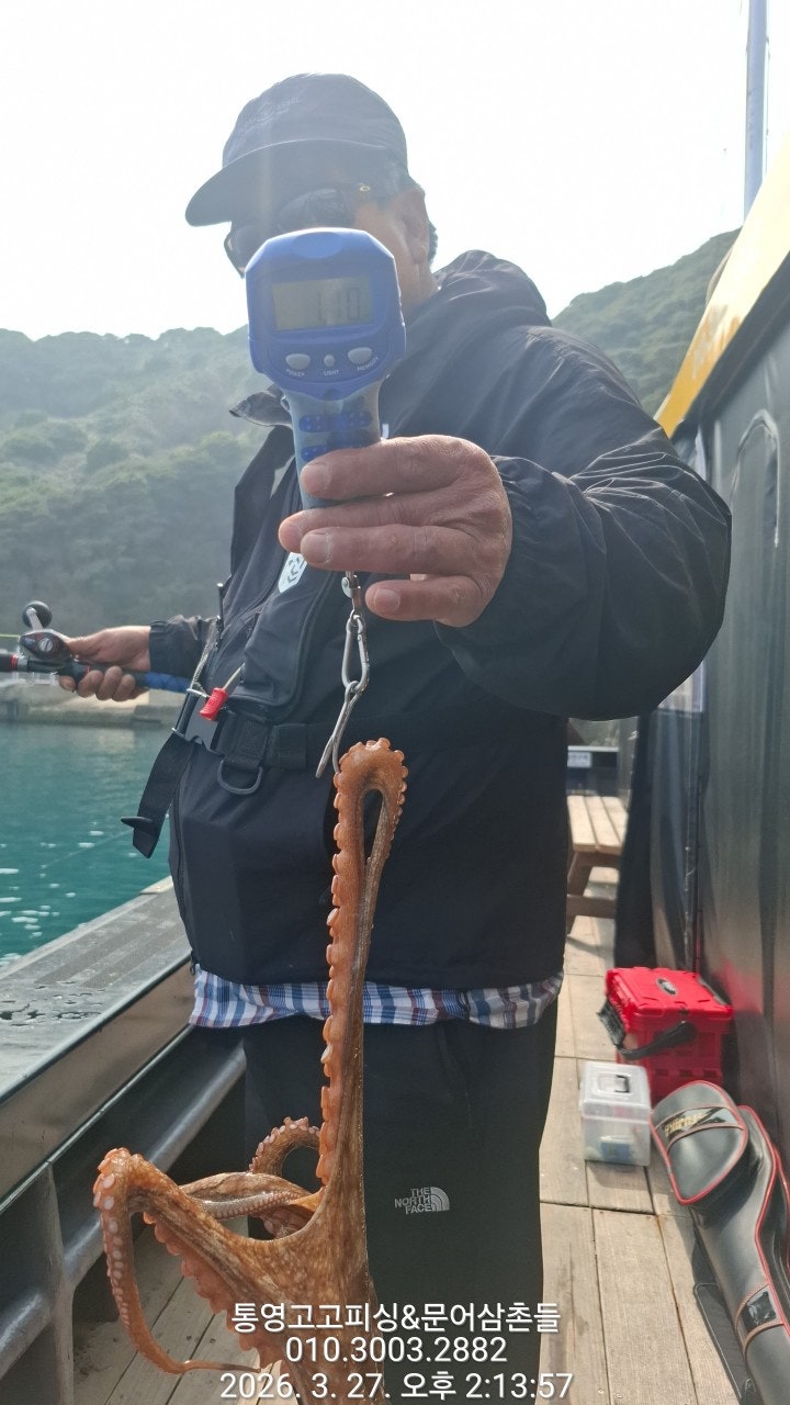 ����ڰ� �ø� �̹���