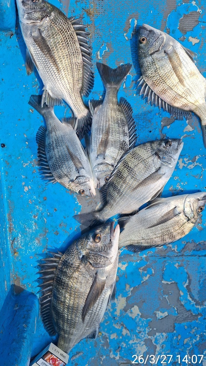 ����ڰ� �ø� �̹���