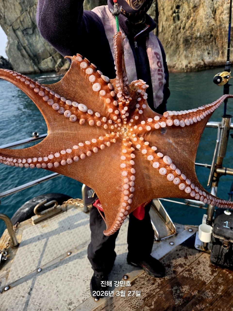 ����ڰ� �ø� �̹���