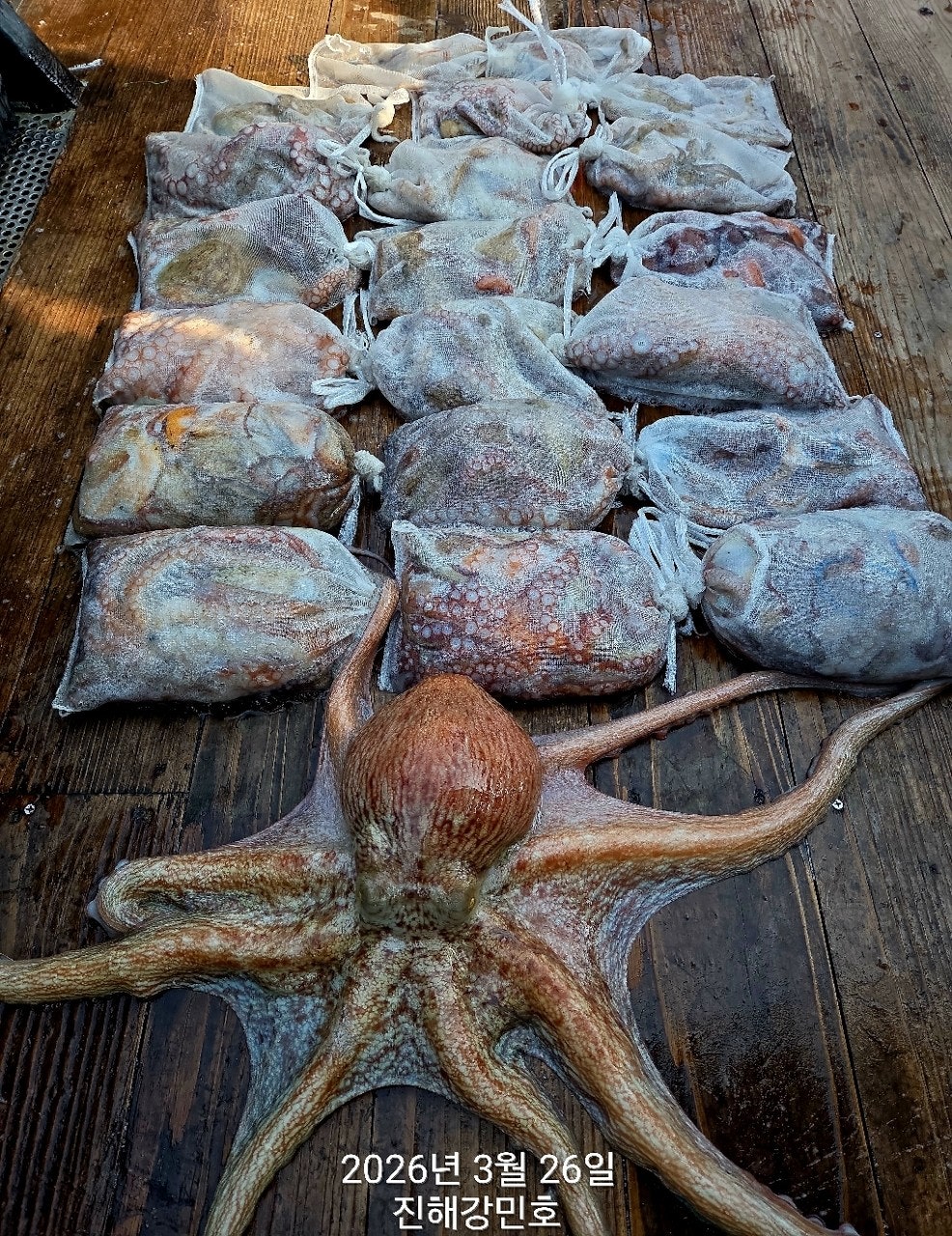 ����ڰ� �ø� �̹���