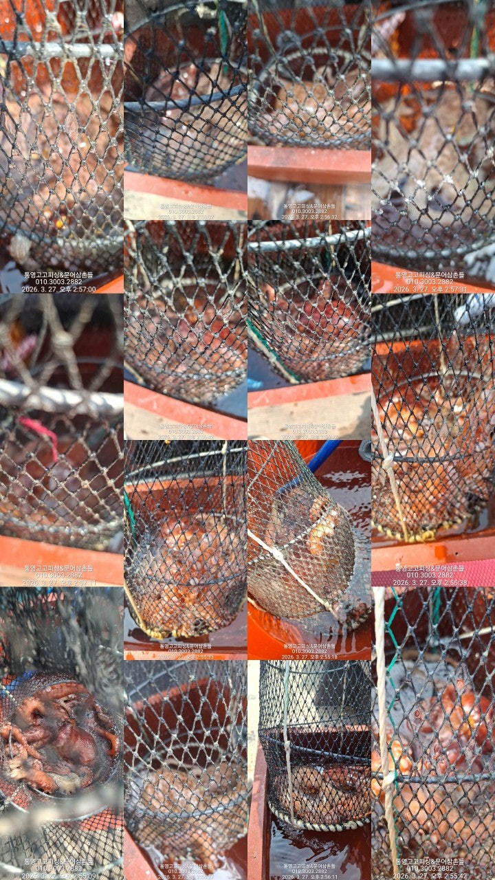 ����ڰ� �ø� �̹���