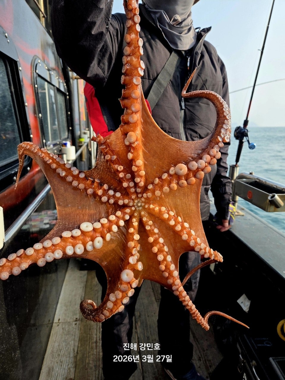 ����ڰ� �ø� �̹���