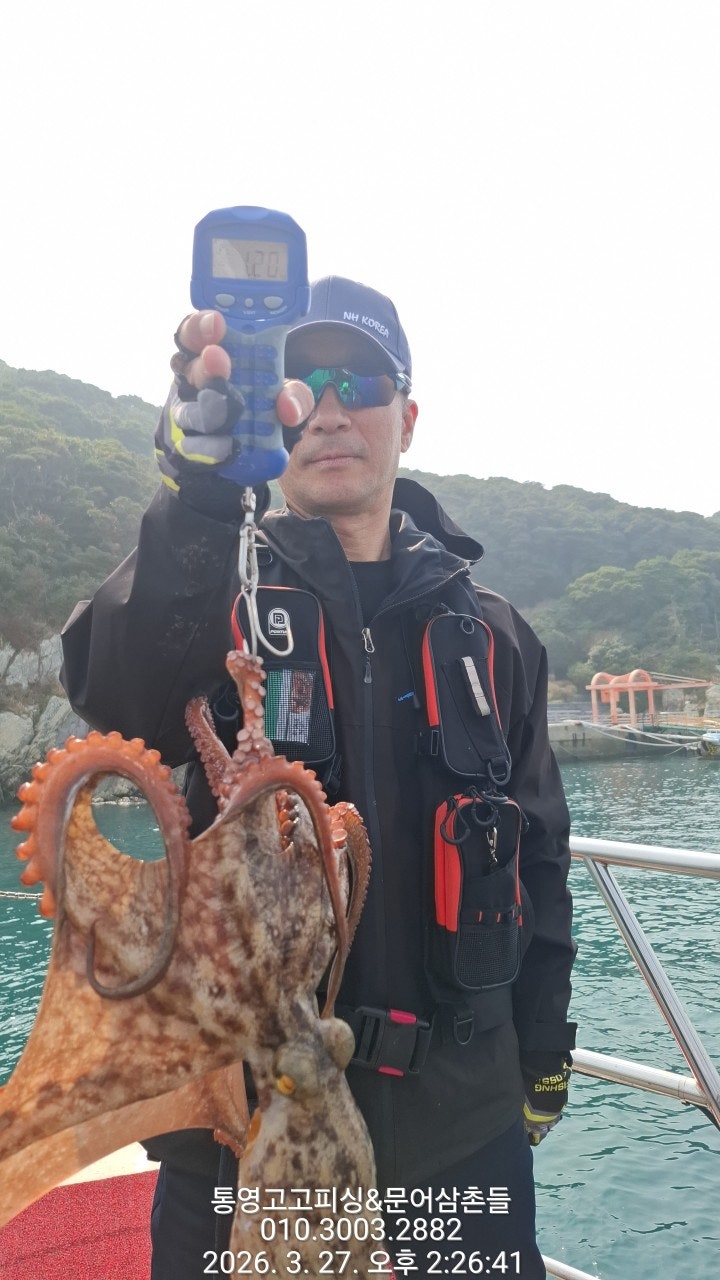 ����ڰ� �ø� �̹���