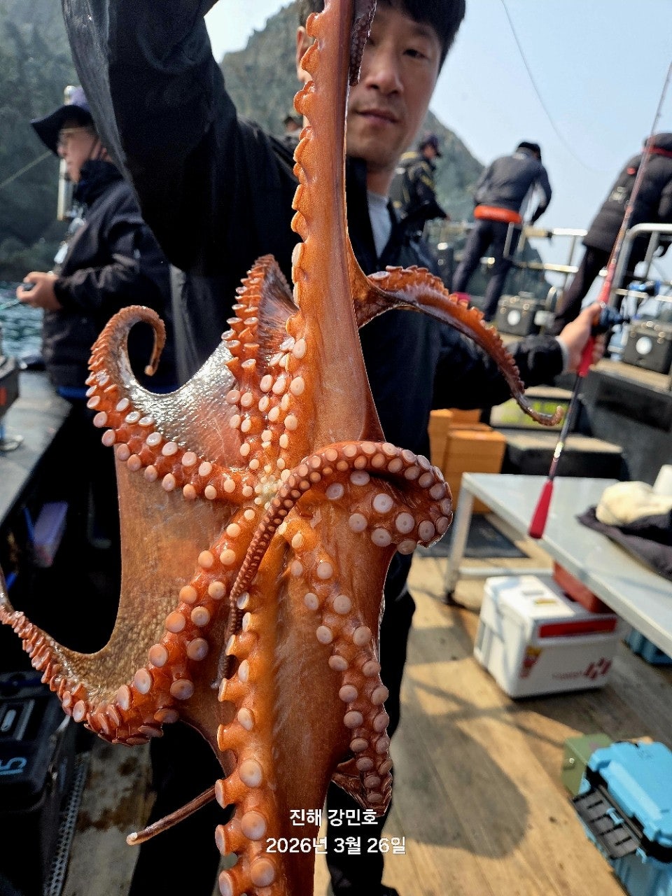 ����ڰ� �ø� �̹���