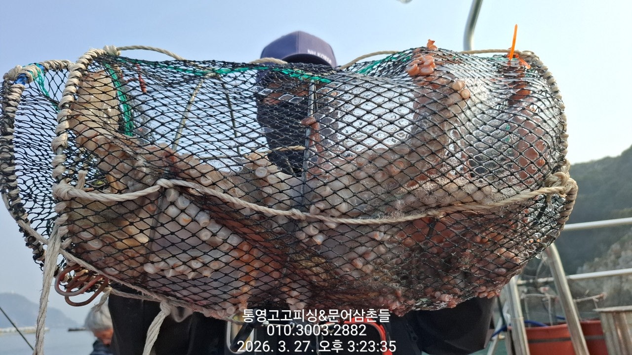 ����ڰ� �ø� �̹���