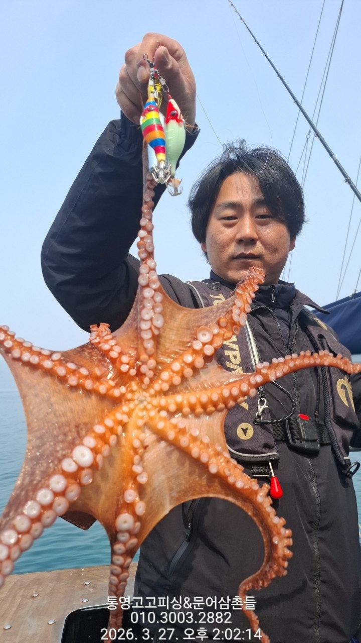 ����ڰ� �ø� �̹���