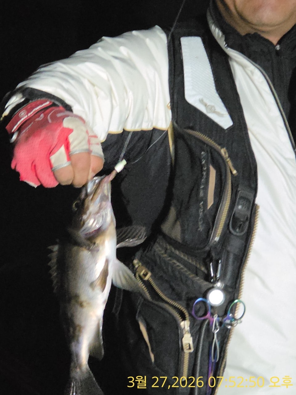 ����ڰ� �ø� �̹���