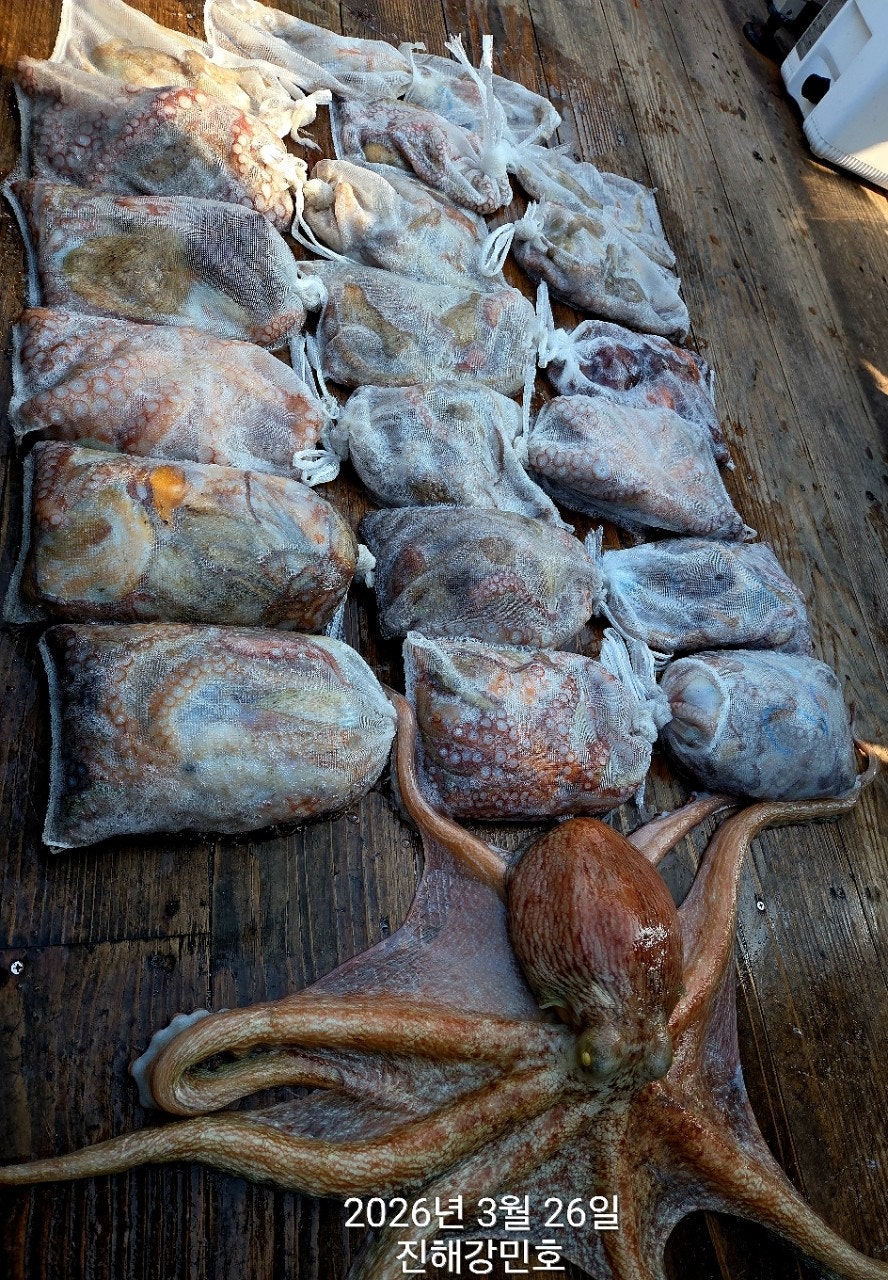 ����ڰ� �ø� �̹���