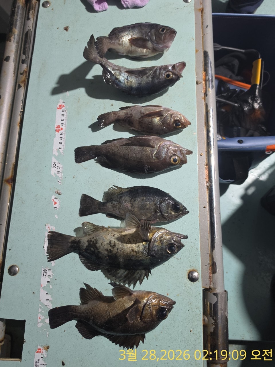 ����ڰ� �ø� �̹���