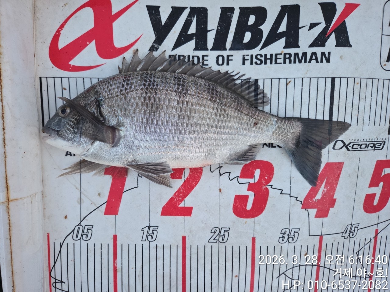 ����ڰ� �ø� �̹���