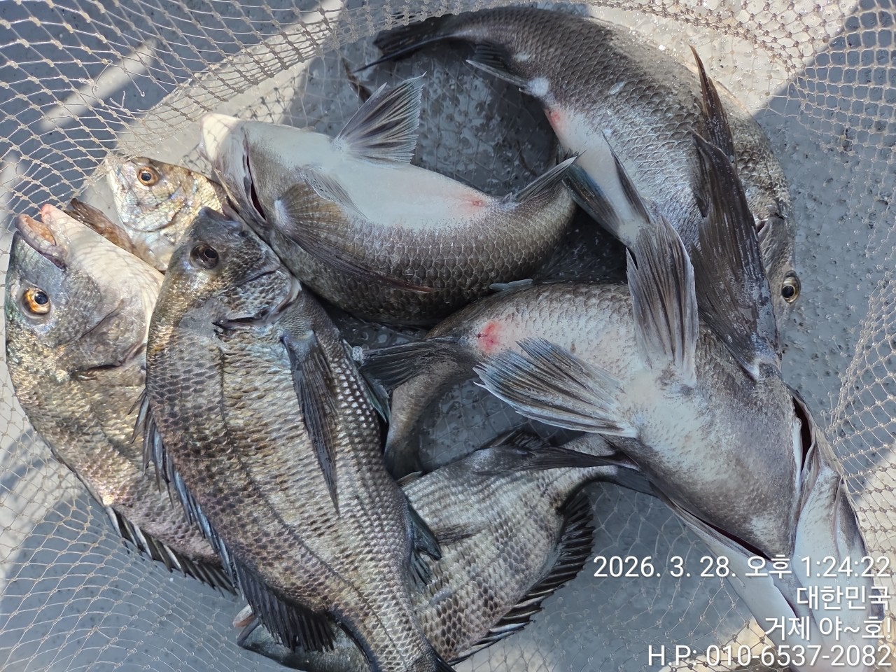 ����ڰ� �ø� �̹���