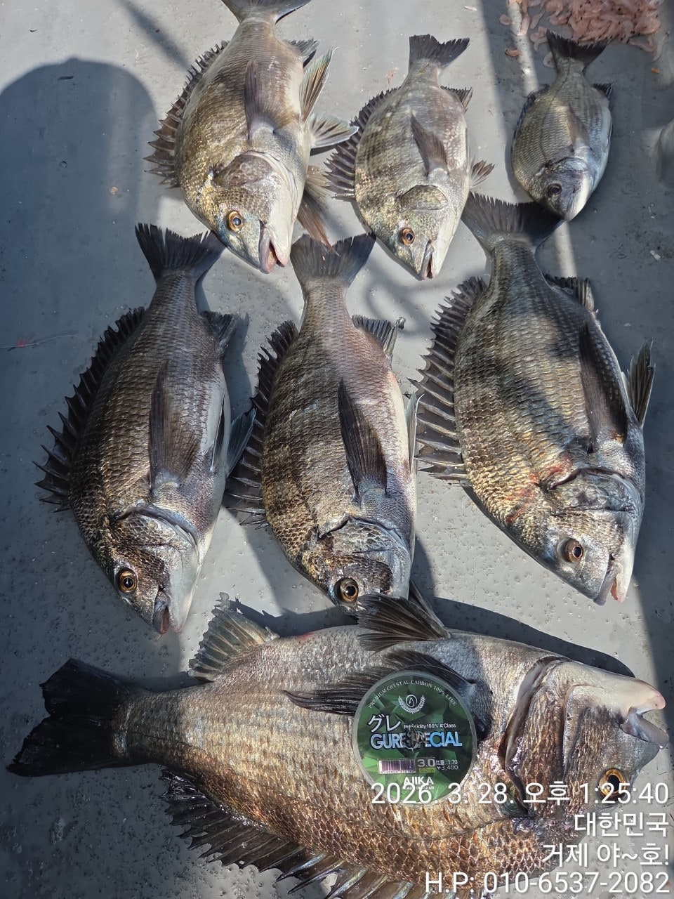 ����ڰ� �ø� �̹���