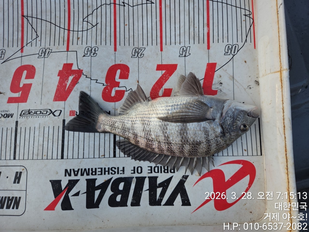 ����ڰ� �ø� �̹���