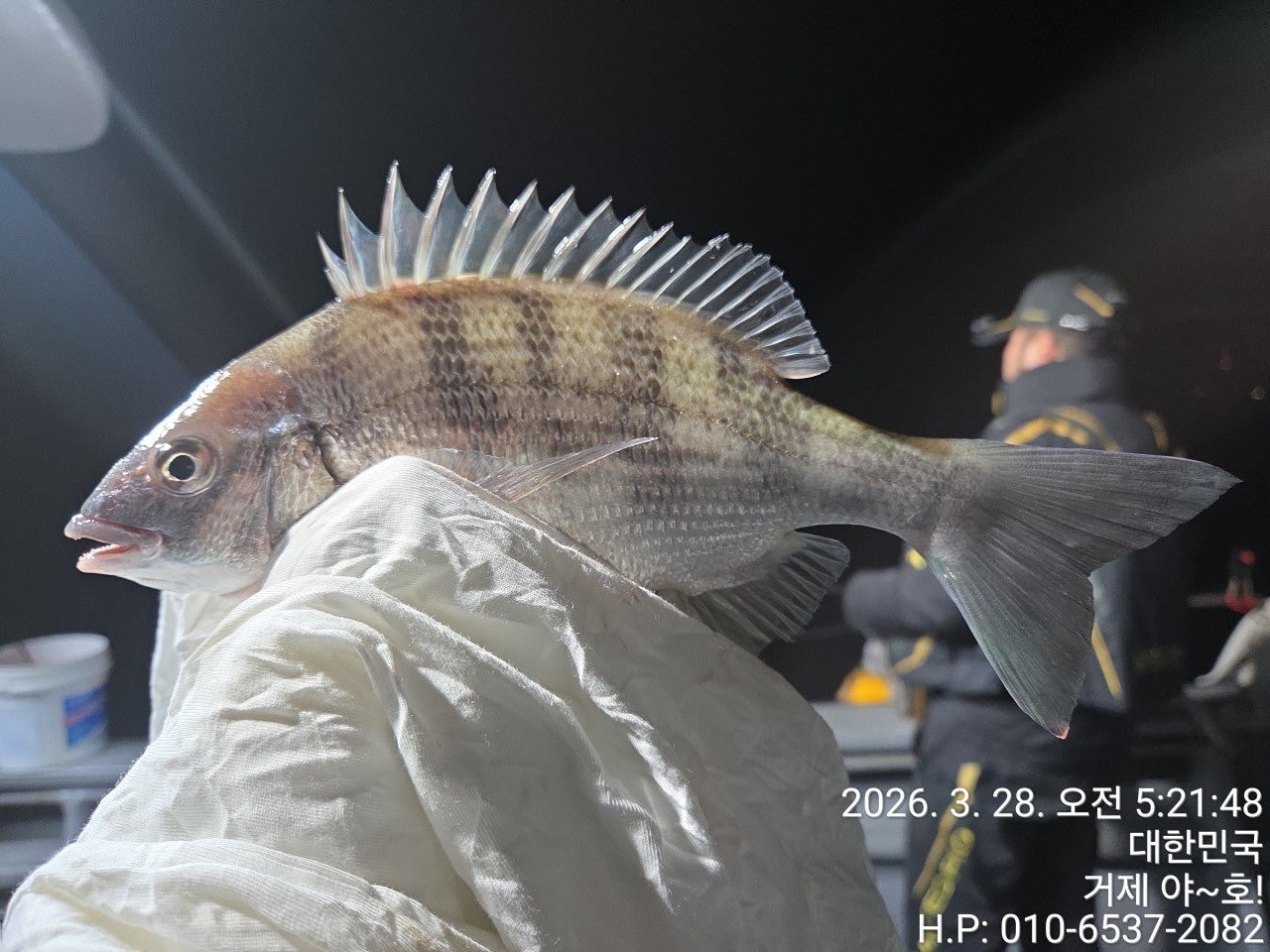 ����ڰ� �ø� �̹���