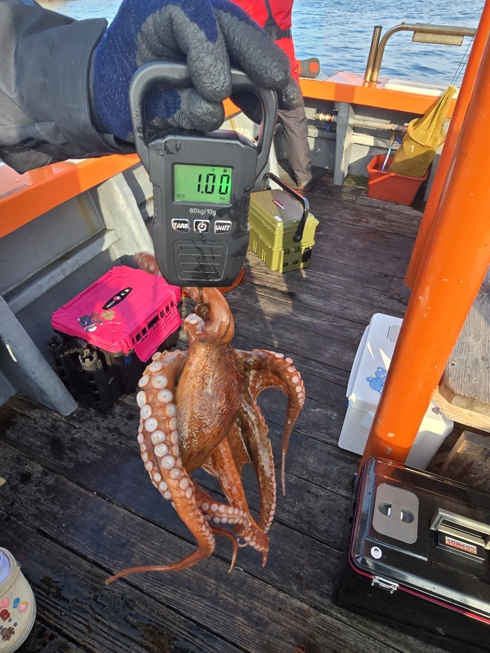 사용자가 올린 이미지