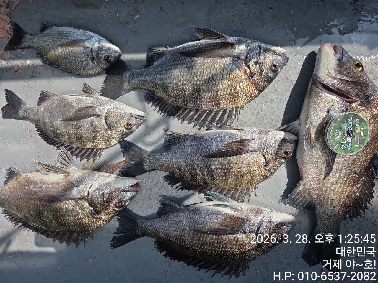 ����ڰ� �ø� �̹���