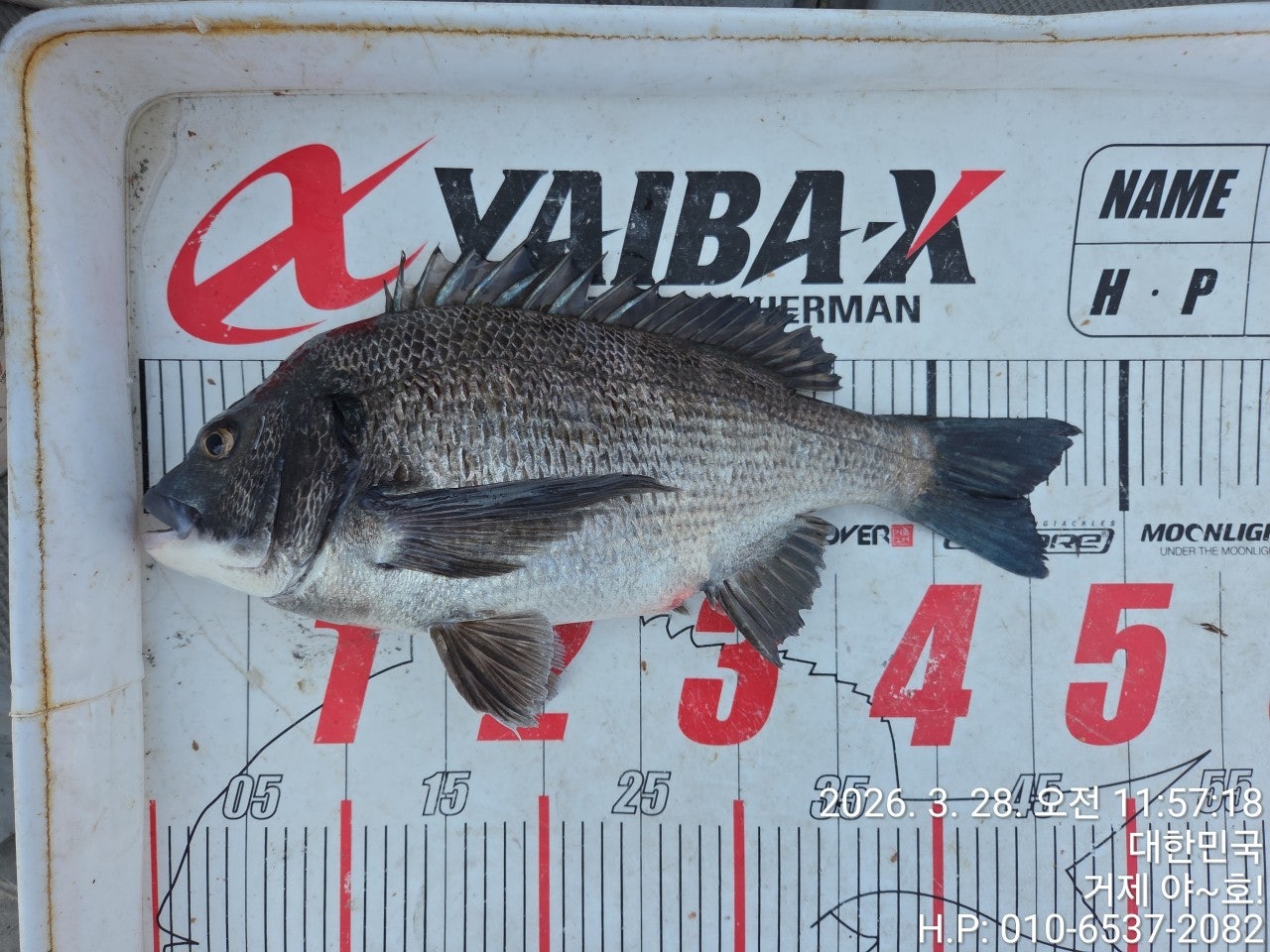 ����ڰ� �ø� �̹���