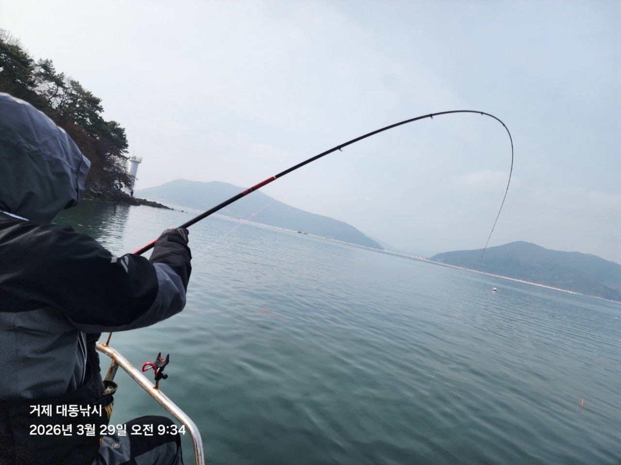 ����ڰ� �ø� �̹���