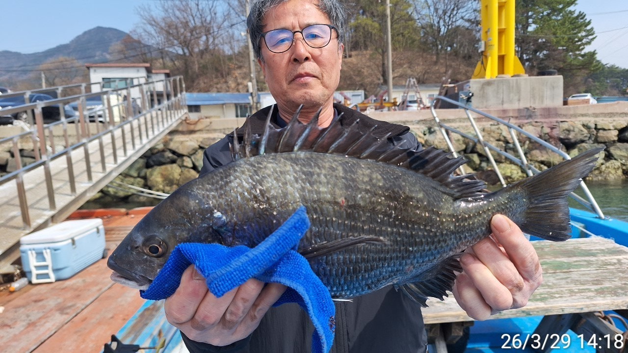 ����ڰ� �ø� �̹���