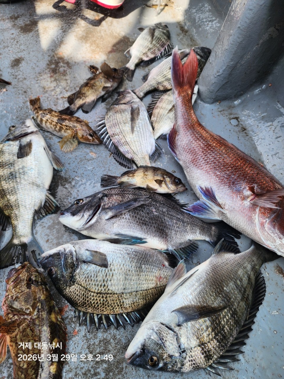 ����ڰ� �ø� �̹���