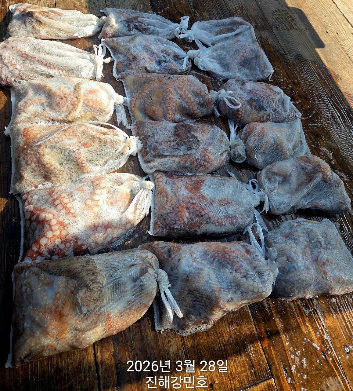 ����ڰ� �ø� �̹���