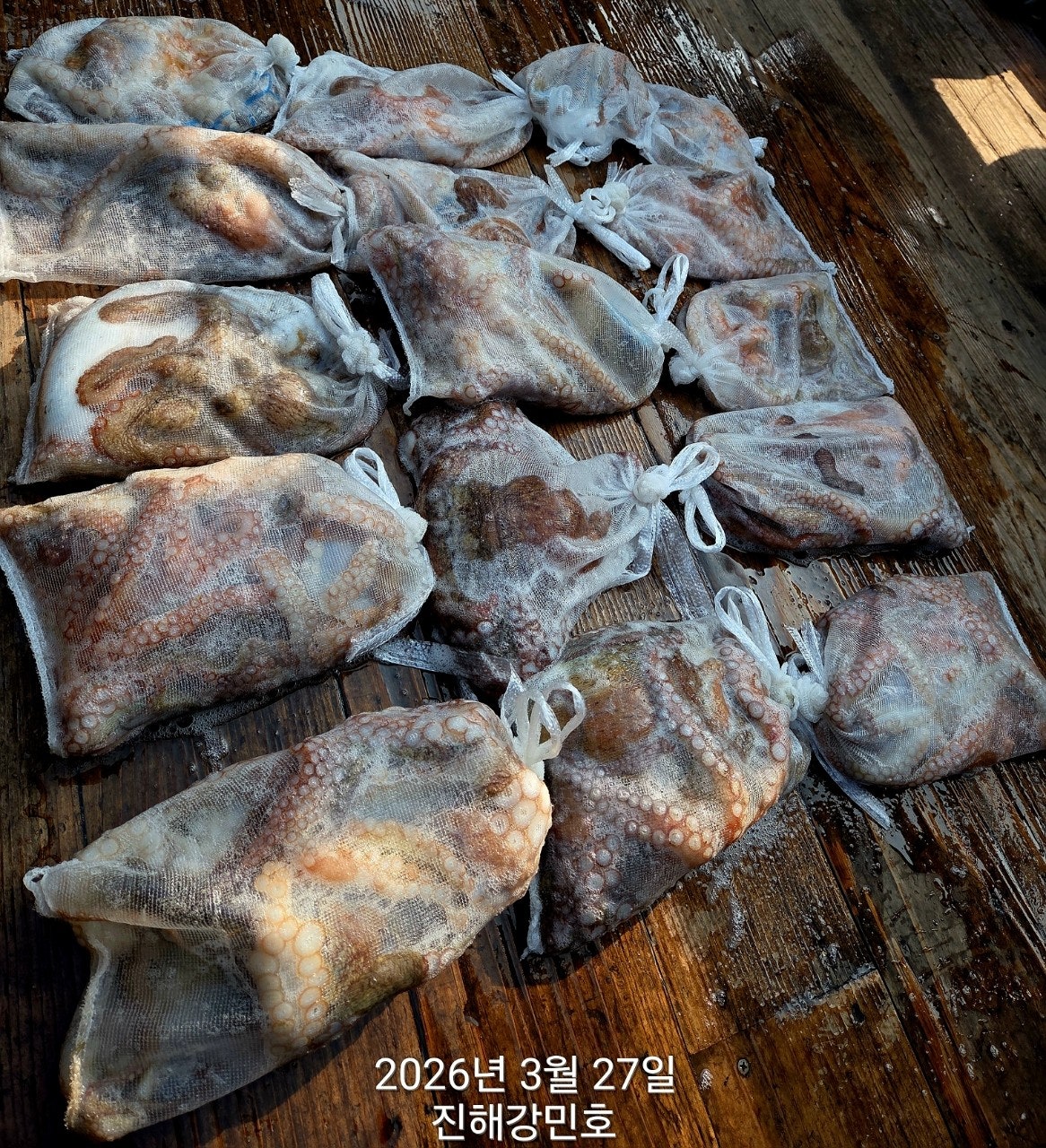 ����ڰ� �ø� �̹���