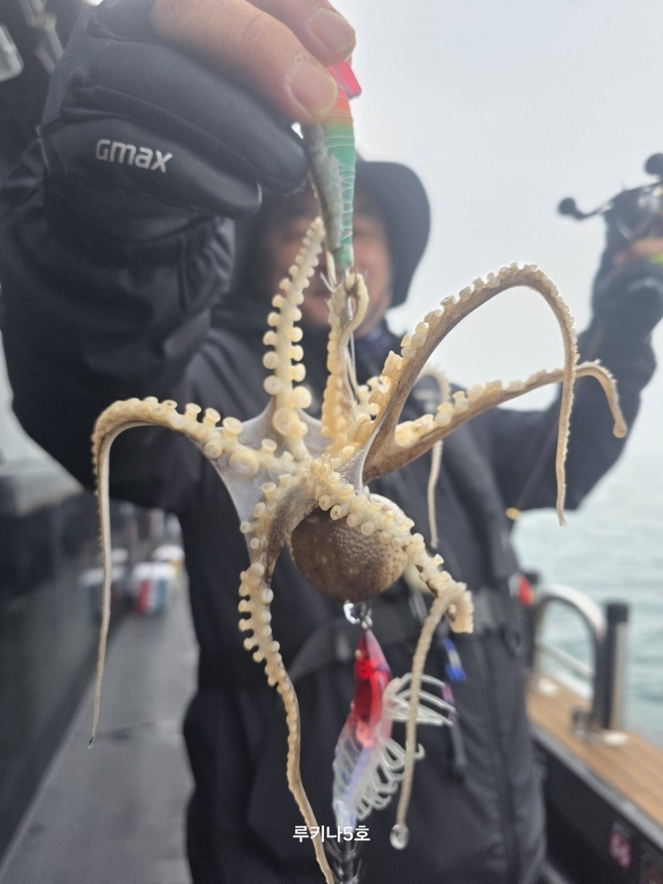 사용자가 올린 이미지